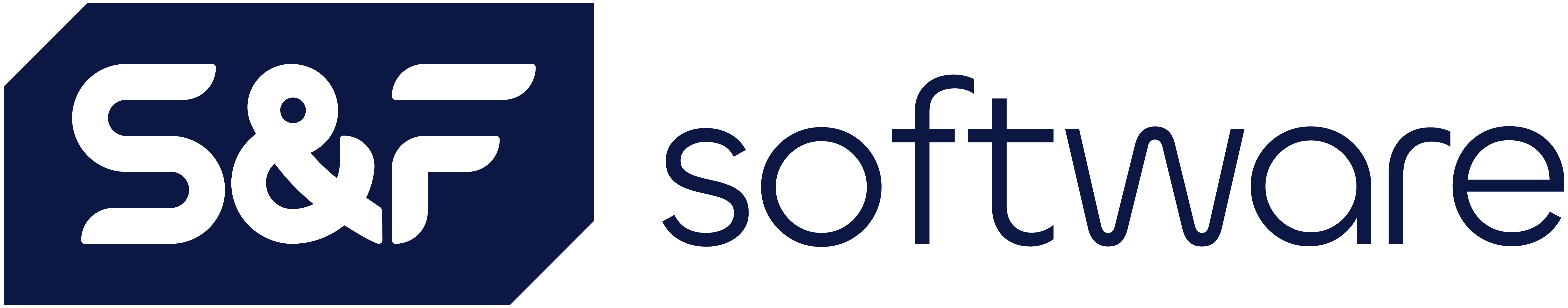 S&F Software GmbH Logo